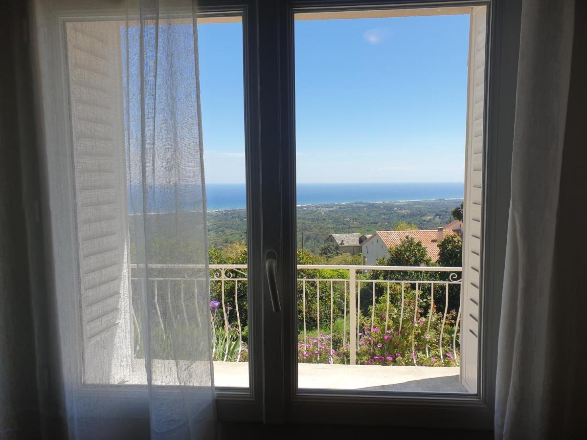 Appartement A Caserella entièrement rénové avec terrasse et vue panoramique sur mer Valle-di-Campoloro Exterior foto